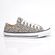 ct3113-tenis-converse-all-star-low-oncinha-animal-print-bege-vandacalcados--2-
