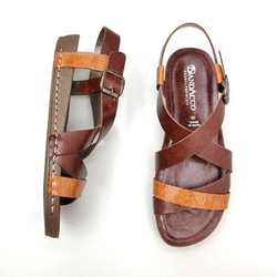 Gemini_Generated_Image_74y2gt74y2gt74y2